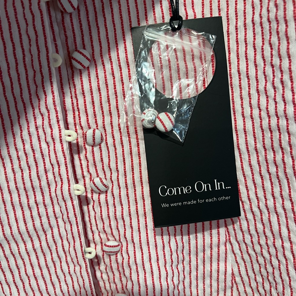 Striped Pink Button-Down Dress - Picture 3 of 4